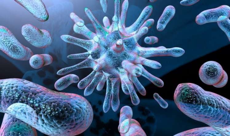  - Helicobacter Pylori haqqında 5 fakt Həkimlərin qorxduğu ən konserogen bakteriya