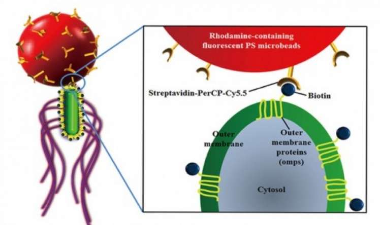 Nanorobotlar xərçəngi müalicə edəcəklər 