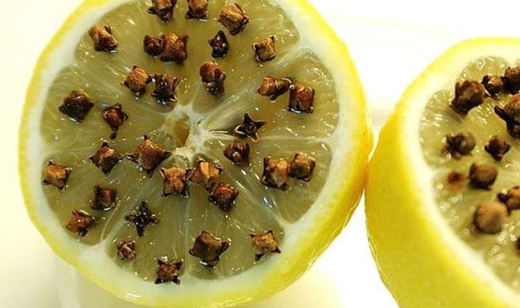 Çarpayınızın yanında mixək sancılmış limon qoyun -   İnanılmaz faydası