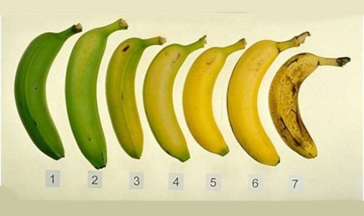 Bananın rənginə görə faydaları 