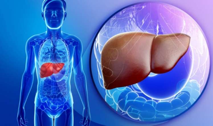 Qaraciyərinizin sevdiyi qidalar –  Orqanizmin laboratoriyasını bu yeməklərlə gücləndirin