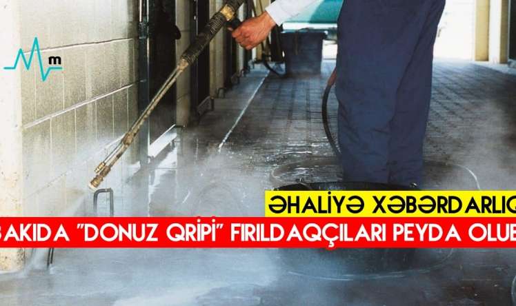 Bakıda “donuz qripi” fırıldaqçıları peyda olub -  Əhaliyə xəbərdarlıq