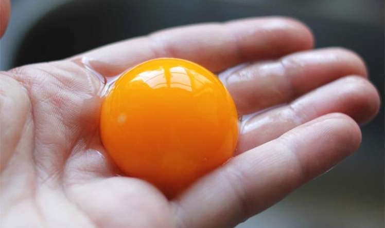 Xolinlə zəngin yumurta sarısını tez-tez qəbul edin –  Nevroloqlardan çağırış