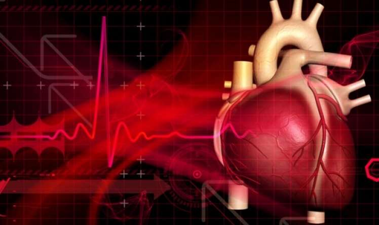 Ürəkdə mitral qapaq çatışmazlığı nədir? –  Revmatizmalı xəstələr risk altındadır