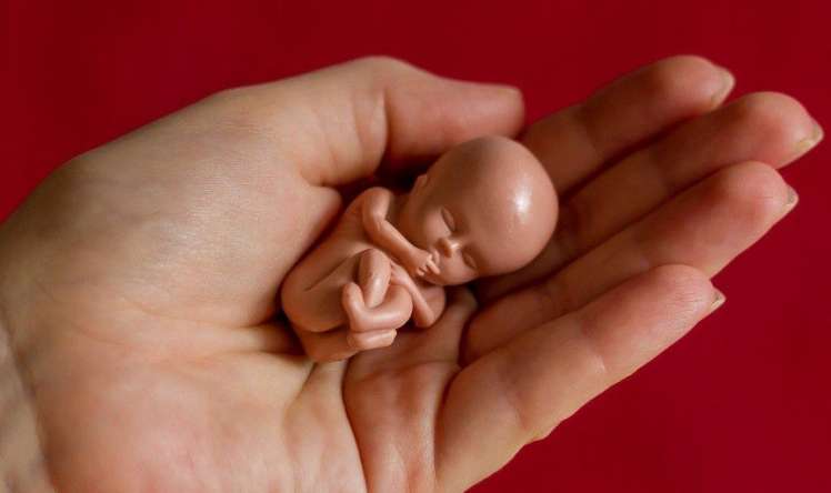 Abortun edilməsi qaydaları sərtləşdirilir- Yeni qanunda yeni qadağa