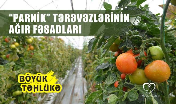 Parnik tərəvəzlərindən gələn təhlükə -  VİDEO