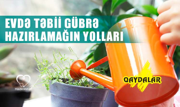 Evdə təbii gübrə hazırlamağın yolları -  QAYDALAR