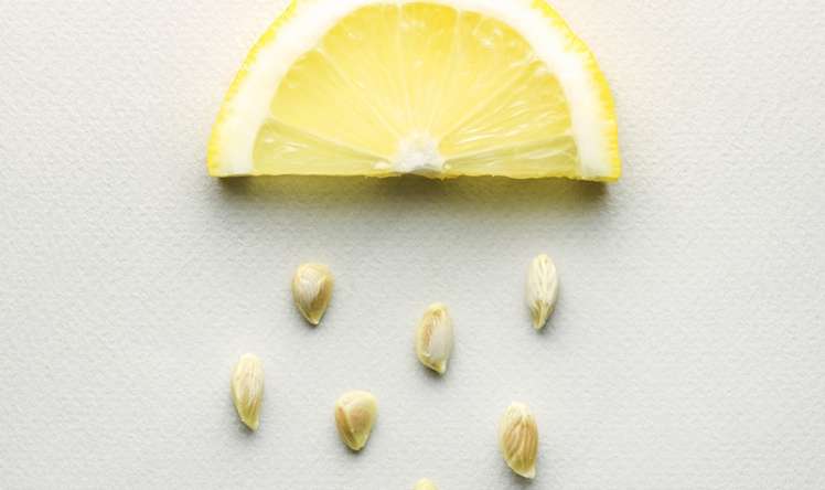 Qurdlari tökən limon tumları -  RESEPT