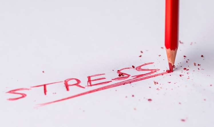 Stressi aradan qaldırmağın üsulları 