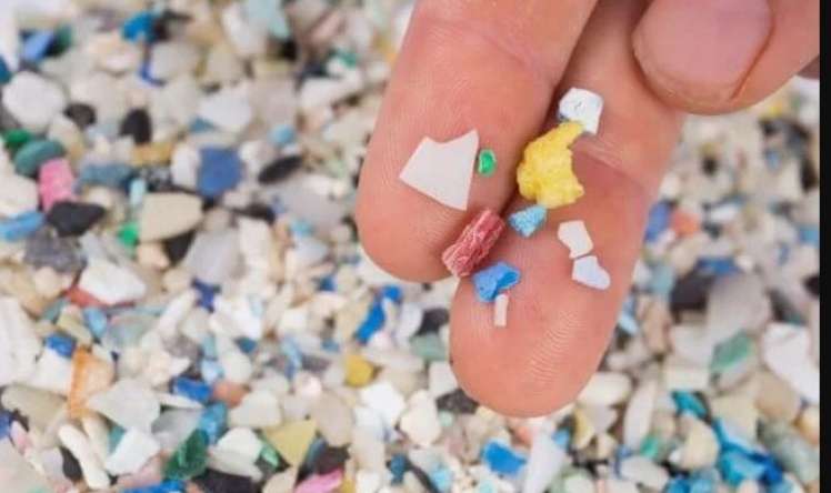 Plastikdə olan ftalatlar sonsuqluq yaradır –  Uşaq oyuncaqlarında da var
