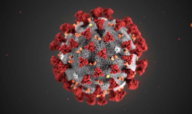 "Dünya əhalisinin 2/3-si koronavirusa yoluxa bilər" -   ÜST 