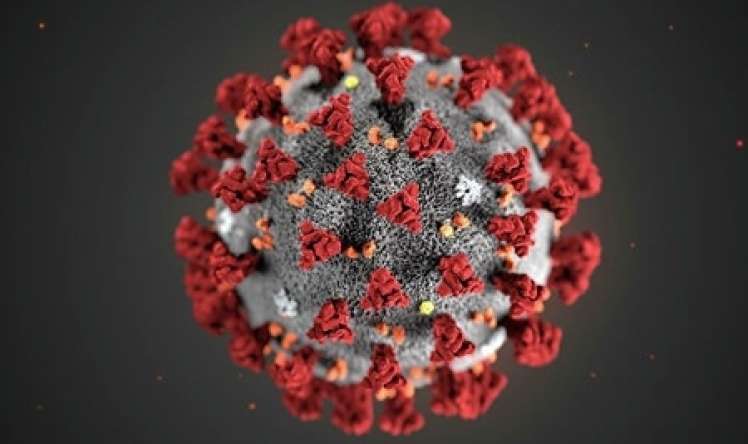 Koronavirus dəyişikliyə uğrayır -  Tədqiqatçılar açıqladı