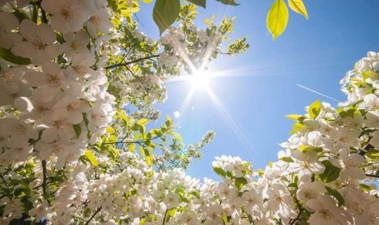  Hava proqnozu –  28 mart 