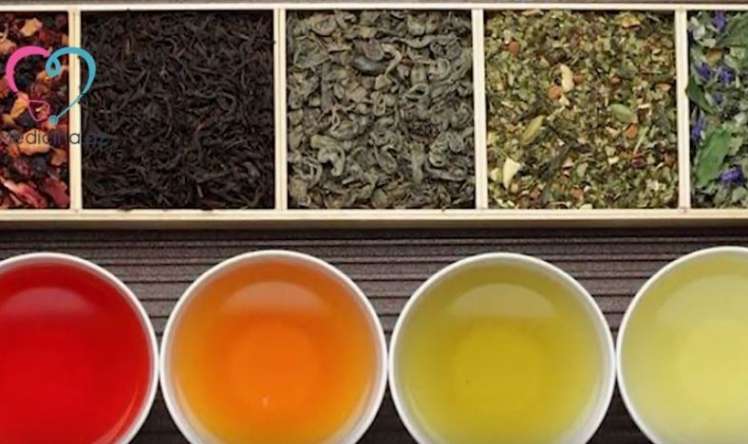  Virusları məhv edən üsul  - ÇAY QARQARASI - VİDEO