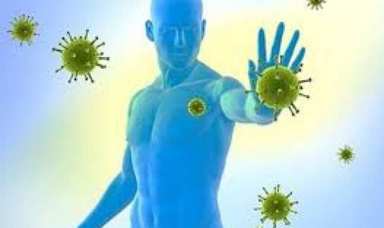 Epidemiya zamanı bu qidalardan imtina etmək lazımdır  