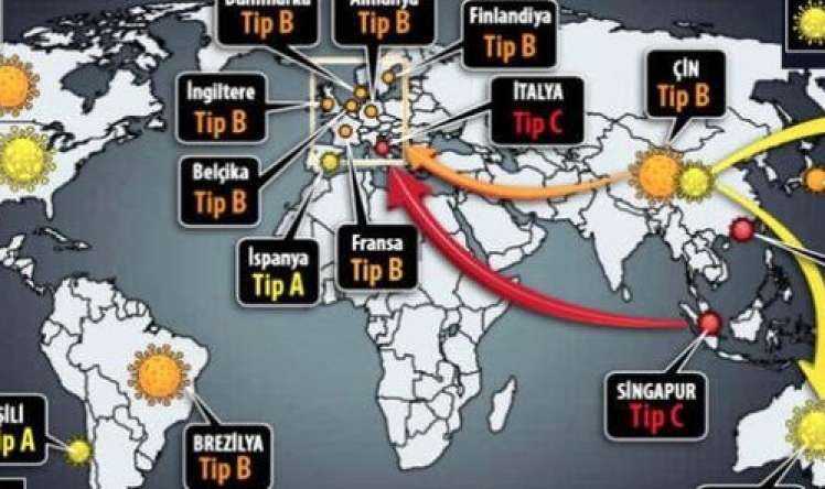 Koronavirusun üç növü müəyyən edilib    - Növlərin dünyada yayılma XƏRİTƏSİ