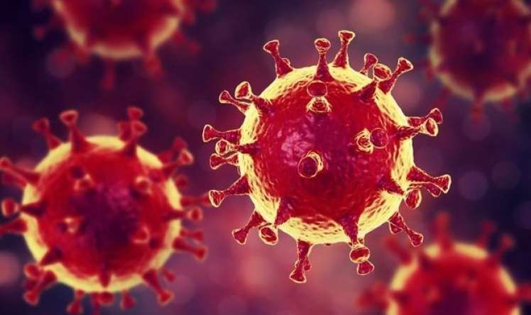 Dünyada 600 mindən çox insan koronavirusdan sağaldı 