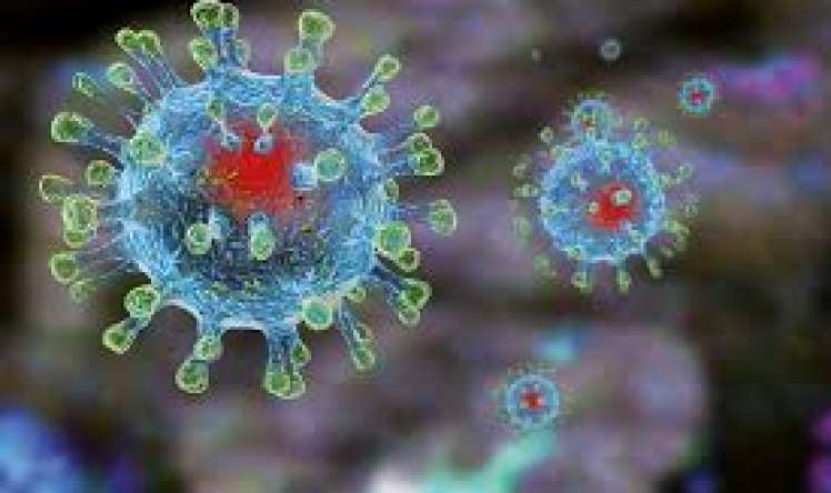 Koronavirusun daha iki yeni mutasiyası aşkarlandı 