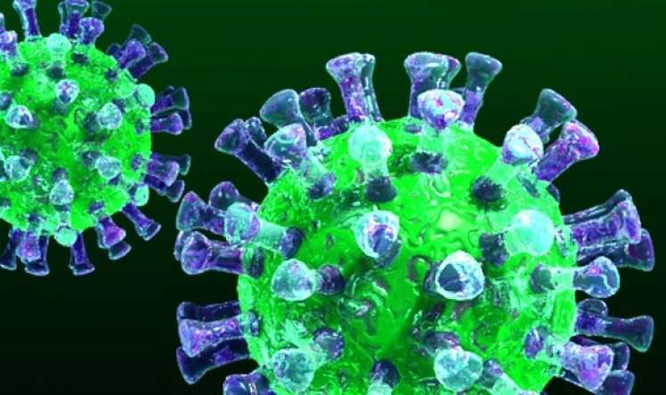 Koronavirus 20 dərəcədə 25 il qala bilər  - ALİMLƏR