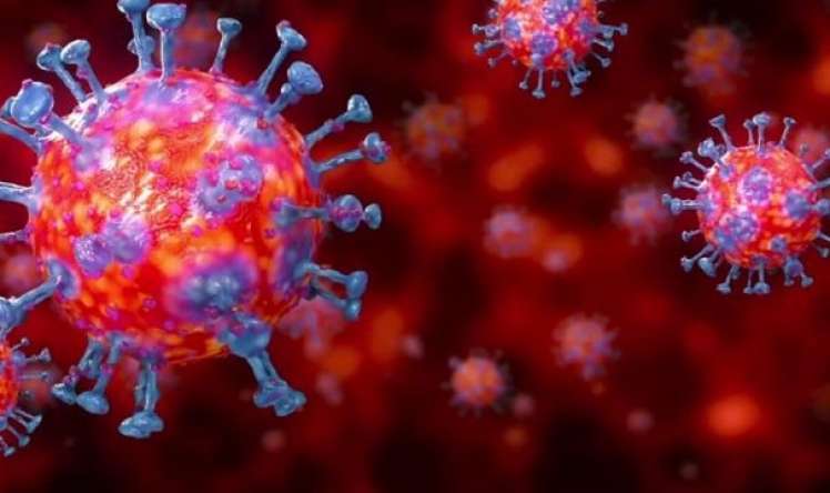 Koronavirusun yeni ştammı öldürücüdür? -  ÜST açıqladı