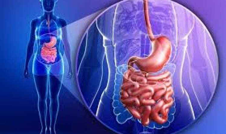 Koronavirusa qarşı immunitet bağırsaqlarda yaranır 
