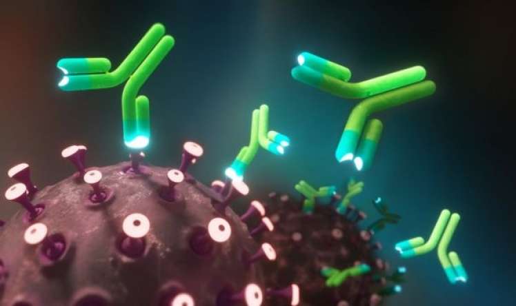 Antitellər koronavirusa təkrar yoluxmadan  qorumur  – ALİMLƏR