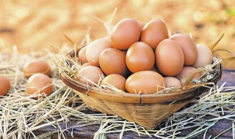 Yumurtanın faydaları -  Mütəxəssislər açıqlayır 