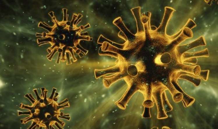 Hindistanda koronavirusun yeni ştammı tapıldı  