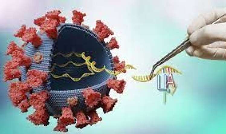 Bir insanda eyni vaxtda 3-5 koronavirus ştammı    -  Ola bilər