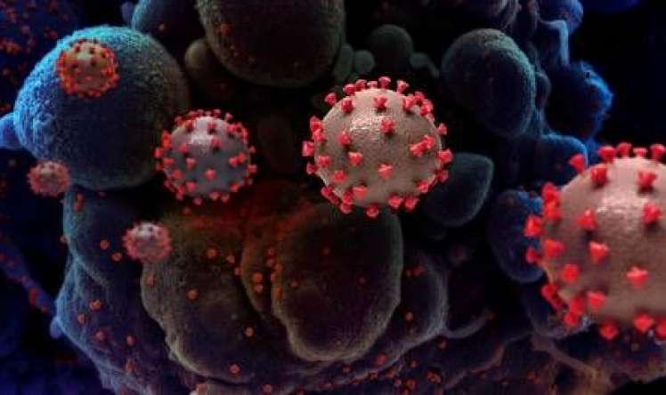 Koronavirus ştammları yunan hərfləri ilə adlandırılacaq -  ÜST