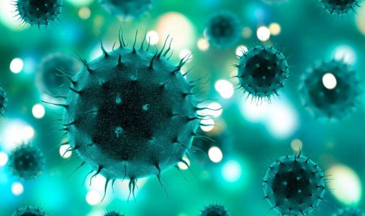 Hindistanda dünyanın ən təhlükəli virusu aşkarlandı 