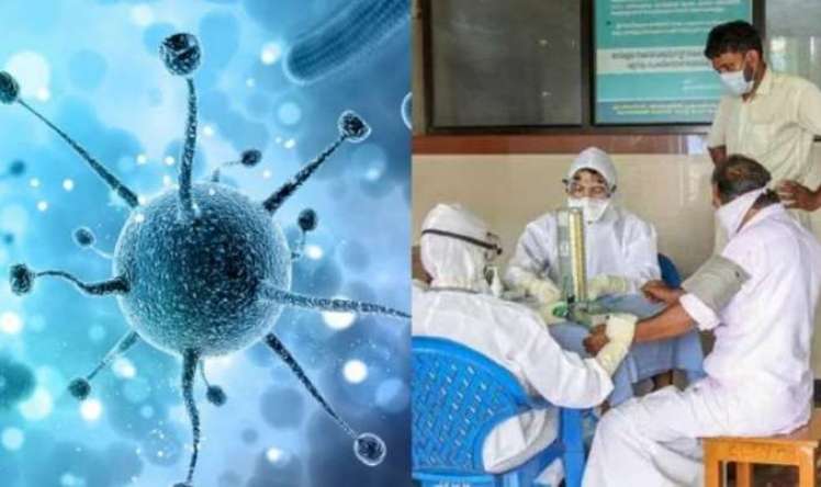 Hindistanda qorxulu Nipah virusu yayılır -  Siçanlardan yoluxma
