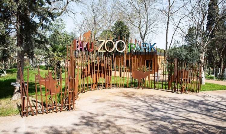 Bakı zooparkında COVID-19 pasportu tələb olunacaq? -  Açıqlama