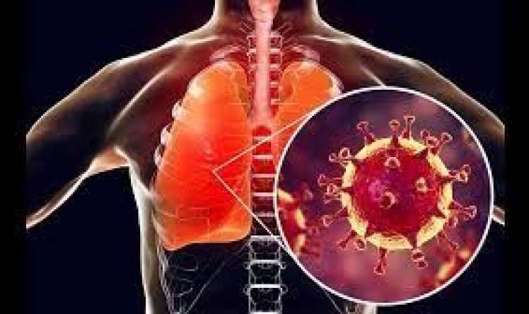 Koronavirus insan bədənində aylarla yaşayır -  ALİMLƏR
