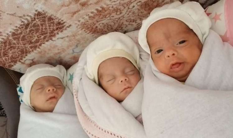 Naxçıvanda üçəmlər dünyaya gəldi -  İki oğlan, bir qız - FOTO