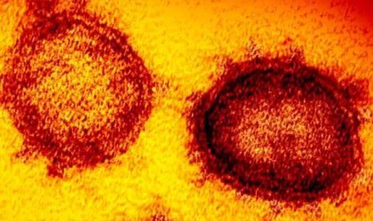 Koronavirusun daha 3 yeni növü peyda oldu  