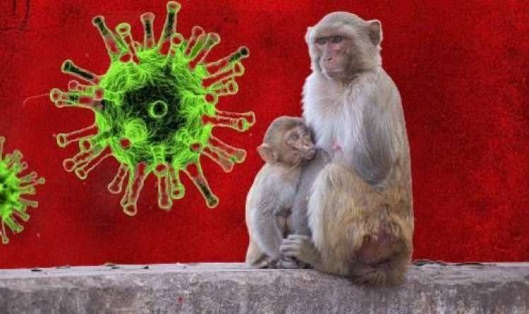 Virusoloq meymunçiçəyi pandemiyasının başladığını  elan etdi