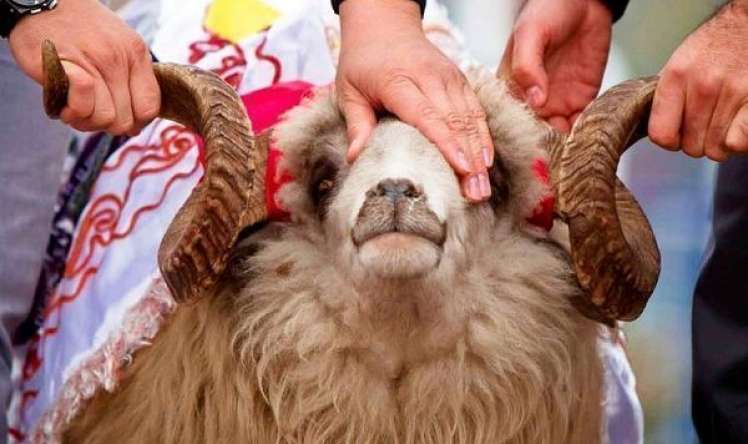 Qurban əti kəsildikdən 12 saat ərzində yeyilməlidir 