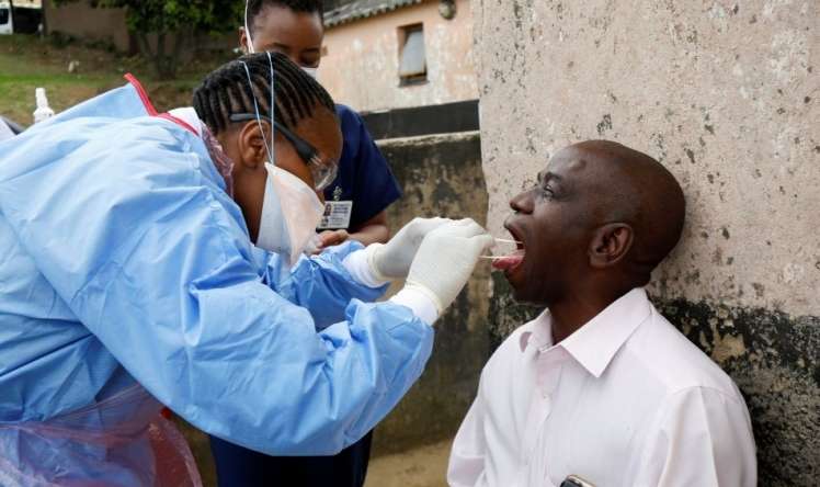 ÜST Afrikada yeni epidemiya elan etdi  - Yarasalardan xəstəlik keçir