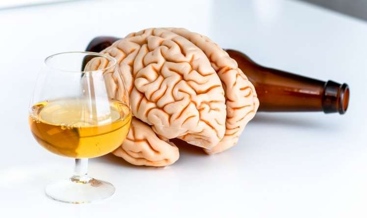  Hər gün alkoqol içmək beynin həcmini 20%  azaldır   -  ALİMLƏR
