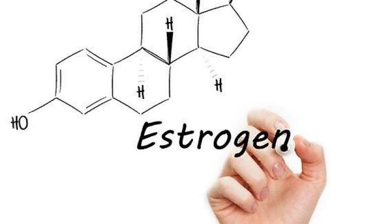Qadın problemlərinin birinci səbəbi  - Yüksək estrogenin əlamətləri