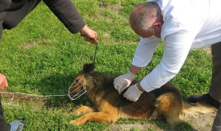 28 sentyabr  Ümumdünya Quduzluq Xəstəliyi ilə    Mübarizə Günü