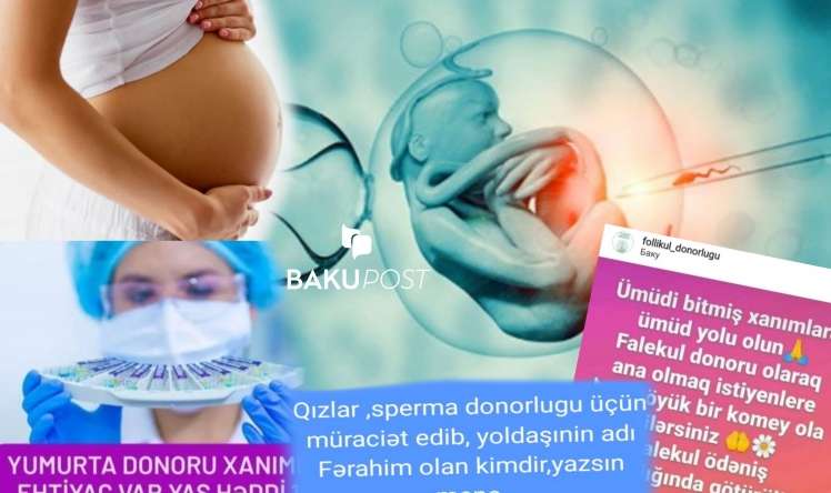 Azərbaycanda 20 il sonra qardaş bacıyla evlənə bilər!  - Süni mayalanma alveri– ARAŞDIRMA