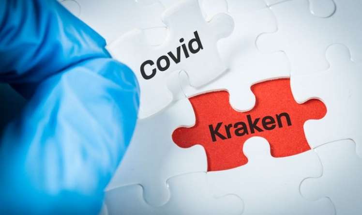 Epidemioloqlar “Kraken” ştammının təhlükəli olacağından  narahatdır