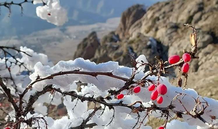 Azərbaycanda  20 ildə ən çox qar bu il yağıb   - Umayra Tağıyeva