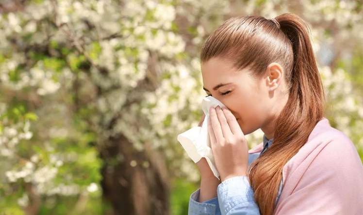 Yaz allergiyası ilə necə mübarizə aparmalı? 