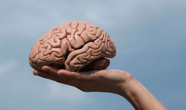 İnsan bədəni və beyni barədə bilmədiyiniz  –   7 FAKT