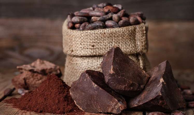 Şokolad və kakao xərçəngi “söndürür”     -   Alimlər