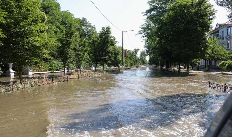 Dnepr çayı və Qara dəniz təhlükədə  - Epidemiyalar yarana bilər