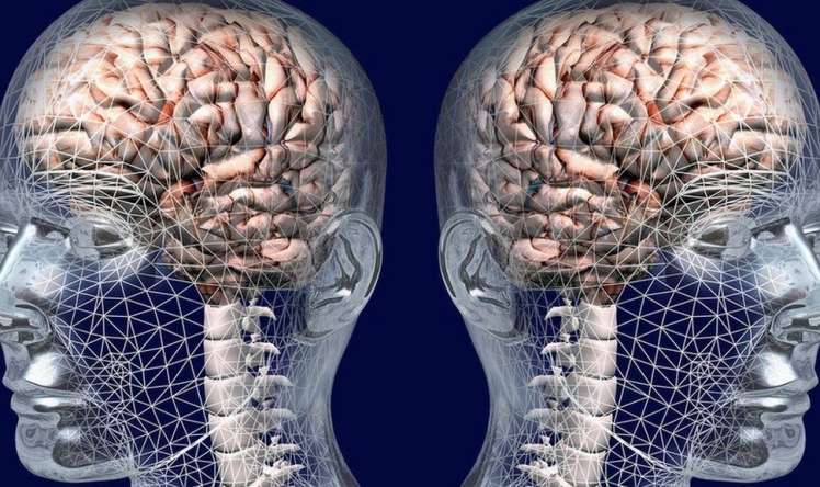Beyni zədələyən 5 risk faktoru 